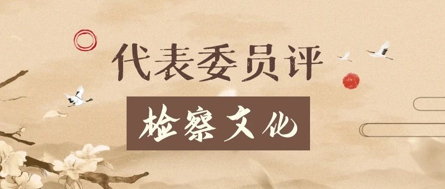 代表委员评检察文化丨王金杰：锻造过硬检察队伍，提高为人民服务能力